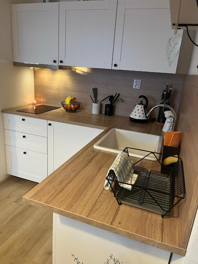 Utulny Apartman Na Dolni Morave Dolní Morava Exterior foto